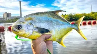 Whole Pompano Catch & Cook - Power Plant Wade Fishing