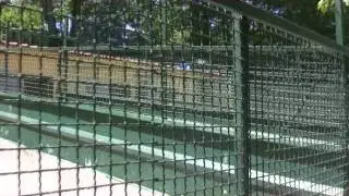 Dei Calabresi Rottweiler kennel
