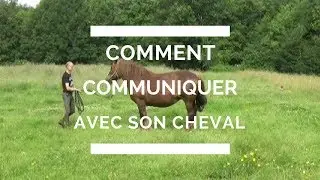 comment parler communiquer &eacute;changer avec son cheval