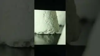 il formaggio pi&ugrave; costoso al mondo   over price cheese