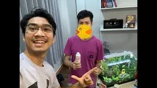Thủy Sinh Tím sang thăm hồ cá nhà PewPew ( Phần 1 )