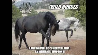 Blue Sky Radio conversation with: Wild Horse Fire Brigade & Bill Simpson