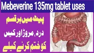 Mebeverine 135mg tablet in urdu /mebeverine hydrochloride in hindi /clososp x 135mg /colofac tablet