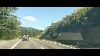 Viajes en familia por Nueva Zelanda/vlogs variados de Mafe