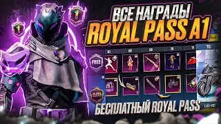 ПРЕДЗАКАЗ НОВОГО RP УЖЕ НАЧАЛСЯ! ★ Royale Pass A1 Rewards | RP 100 is Back PUBG MOBILE СТРИМ★