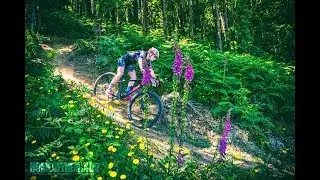 Irish Cross Country NPS Round 4 Tracton Woods 2018 (4k)