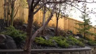 A Green Future: Transforming Calgary Landscapes - Project Showcase (#CalgaryLandscaping)