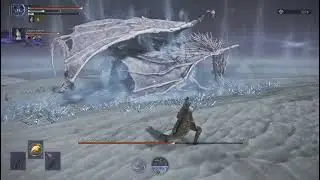 Caligo? More like Caligone!!!!