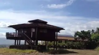 1037 Kupulau video 1