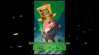Underwater Green Fishing Lights New Year