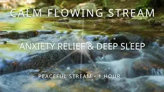 Calm Flowing Stream Ambience for Mindfulness & Sleep &ndash; 1 Hour (Pure Nature)