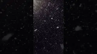 Snowstorm