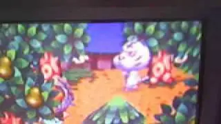 Rolf is Spinning
