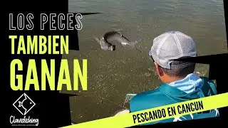 LOS PECES TAMBIEN GANAN - PESCA EN CANCUN | Clavisfishing