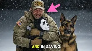 A Veteran Heard Crying in a Blizzard&hellip; What He Found Wasn&rsquo;t Supposed to Be Alive