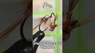 Fly tying Pheasant Tail Nymph. #atadodemoscas #flytying #euronymphing #fishingtechnique #tenkara