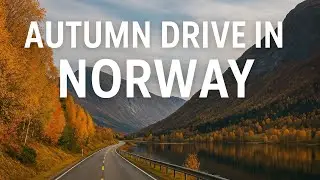 🍂Autumn Road in Norway | Beautiful Drive by the Lake and Mountains🍁