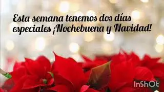 Men&uacute; semanal saludable del 21 al 27 de Diciembre 🎄Men&uacute; para nochebuena y Navidad🎄