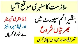 BISP Jobs 2021 &ndash; Benazir Income Support Programme www.bisp.gov.pk