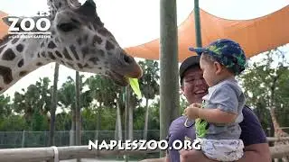 Visit The Naples Zoo at Caribbean Gardens
