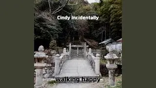 Cindy Incidentally
