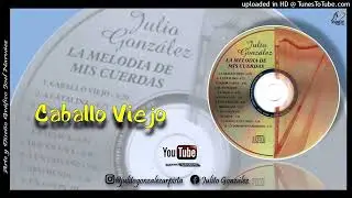 JULITO GONZ&Aacute;LEZ (INSTRUMENTALES) - CABALLO VIEJO - @joelantonionarvaez