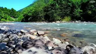 Великолепное щебетание птиц, тихий ручей, текущий по камням в горах, ASMR