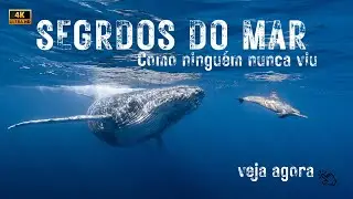 &ldquo;Mundo Submerso: A Vida que o Mar Esconde&rdquo;