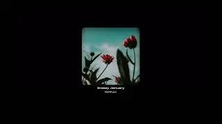 Bossa Nova Type Beat 