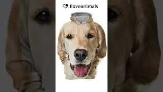 Hoodies & T-shirts for Animal Lovers
