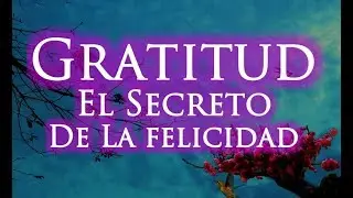 LA GRATITUD, EL SECRETO DE LA FELICIDAD | Gratitud, Frases, Reflexiones,  Agradecimiento, Reflexión