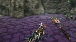Ark (X25boostet server )