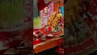 bhajan Marg new #song #live #love #entertainment #music #parmanandji #bhaktisong #radheshyam #devoti