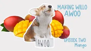 Getting My Dog to Howl While Eating Ep2