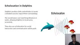 Ecolocation