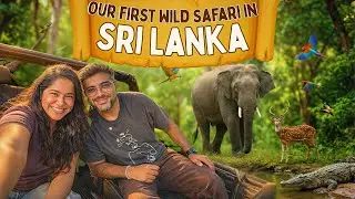 We Saw This in the WILD 🐘🦌🐅🐆| Jungle Safari in Sri Lanka 🇱🇰 