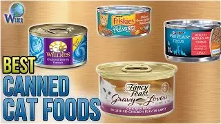 10 Best Canned Cat Foods 2018