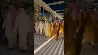 to tigers in one video #kingsalman #princehamdan  #faz3 #dubai @faz3