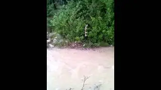 VID 20150823 153142