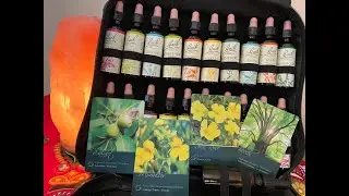 🔥 TwinFlameDivineHealing🔥 Bach Flower Card Healing Session Virgo Full Moon Courage Bravery  ❤️