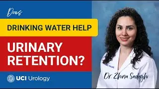 Does Drinking Water Help Urinary Retention? by Dr. Zhina Sadeghi - UC Irvine Department of Urology