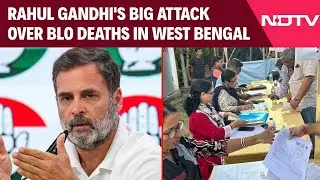 West Bengal News | Deaths Due To Unnecessary Pressure: Rahul Gandhi's On BLO Deaths In West Bengal
