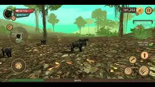 Wild Panther Sim 3D