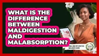What Is The Difference Between Maldigestion And Malabsorption?