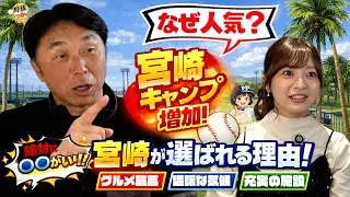 キャンプ地の真実｜宮崎と沖縄、選手が本当に楽なのはどっち？宮崎が寒くても優れてる点は？巨人キャンプ地の問題点