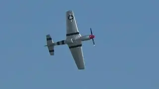 'War Horse' P-51D Mustang @ Eastbourne Airshow 2023