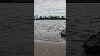 Расслабляющая прогулка по Токио: утренний кофе и вид на океан на пляже Одайба #шорты