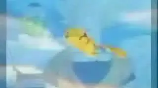 dragon ball z vs pokemon  - dragon burro z  - dragon ball gt