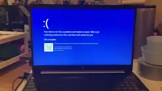 Goofy screaming EARRAPE had BSOD