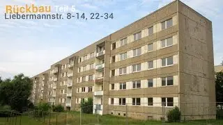 Altenburg (Th&uuml;ringen): Abriss 